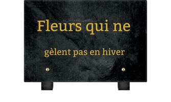 Fleurs pour cimetiere qui ne gèlent pas - Fleurs d'hiver