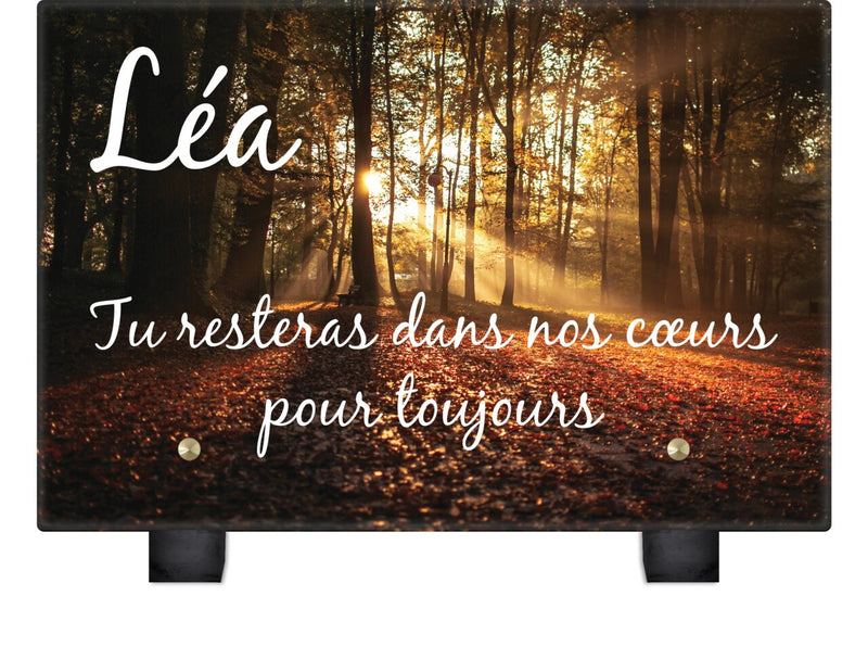 Plaque funéraire foret-orange 13 plapuedacaes.com
