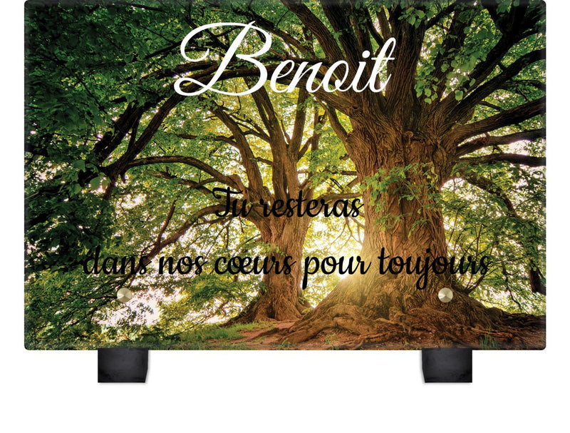 Plaque funéraire grand-arbres 18 plapuedacaes.com
