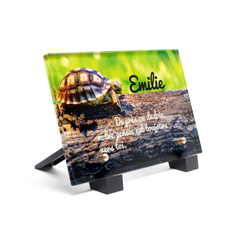 Plaque funéraire plaque-funeraire-tortue 18 plapuedacaes.com