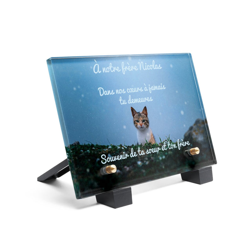 Plaque funéraire chat-en-pleine-nuit 4 plapuedacaes.com