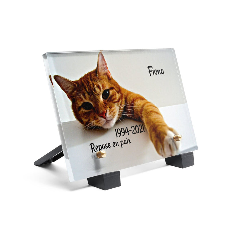 Plaque funéraire chat-orange 18 plapuedacaes.com
