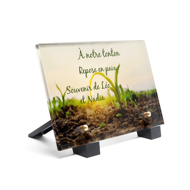 Plaque funéraire plante-qui-pousse 23 plapuedacaes.com