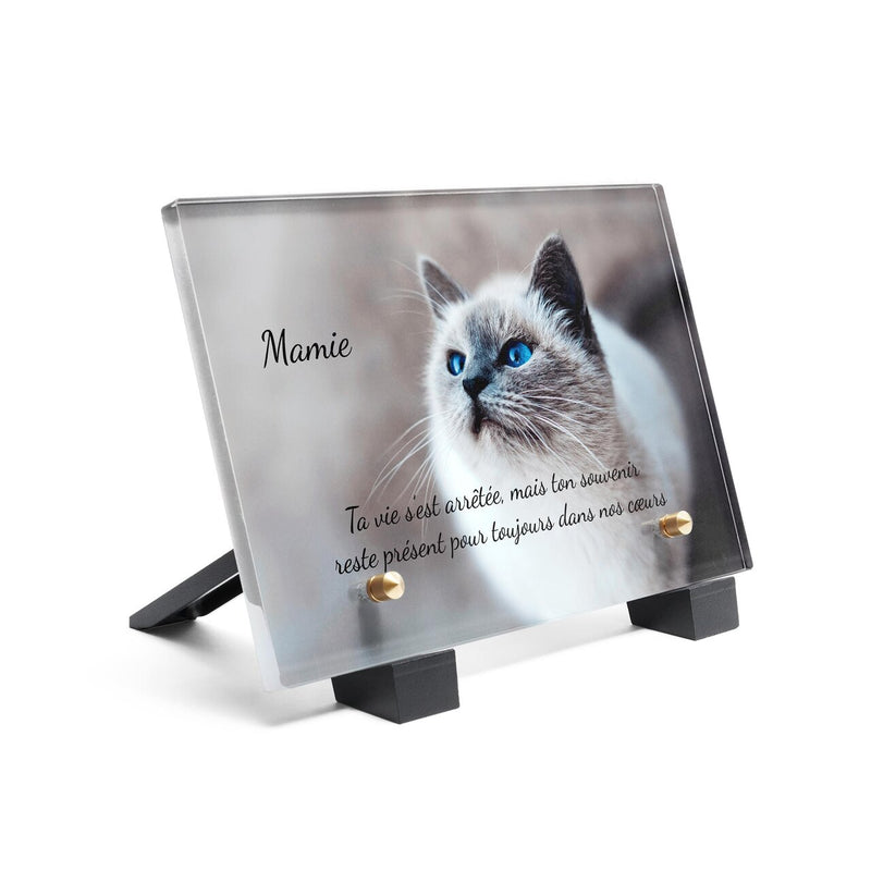 Plaque funéraire chat-majestueux 26 plapuedacaes.com