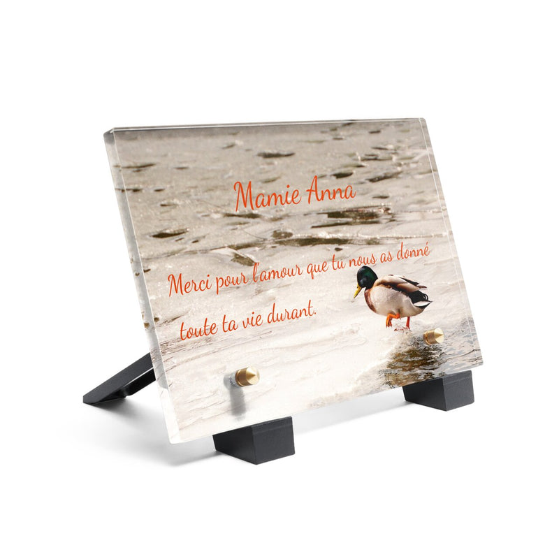 Plaque funéraire plaque-funeraire-canard 15 plapuedacaes.com