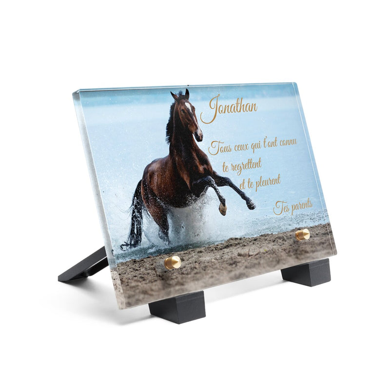 Plaque funéraire cheval-au-bord-de-lac 19 plapuedacaes.com