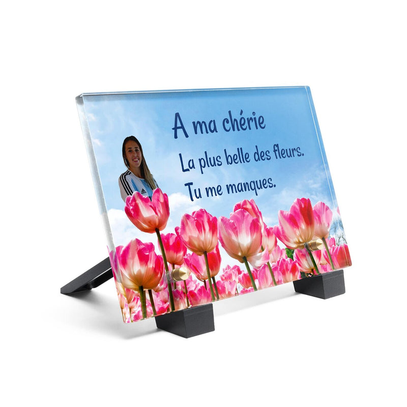 Plaque funéraire champ-de-tulipes 27 plapuedacaes.com
