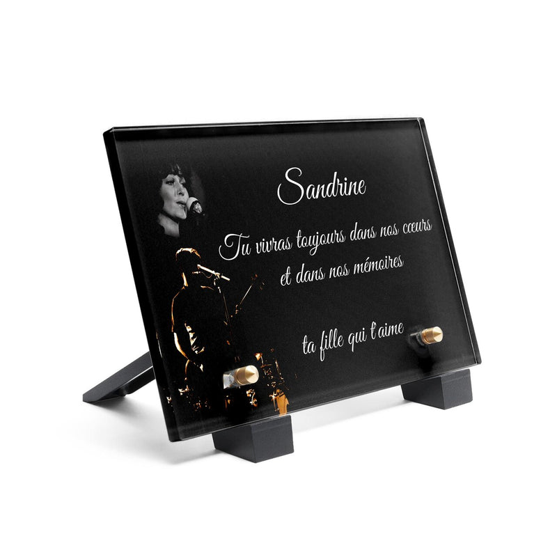 Plaque funéraire chanteur-sur-scene 9 plapuedacaes.com