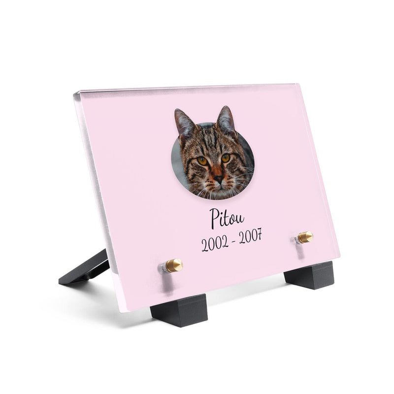 Plaque funéraire chat-cartoon 11 plapuedacaes.com