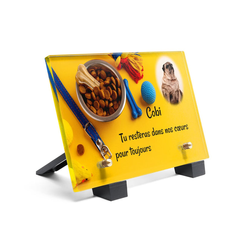 Plaque funéraire accessoires-pour-chiens 13 plapuedacaes.com