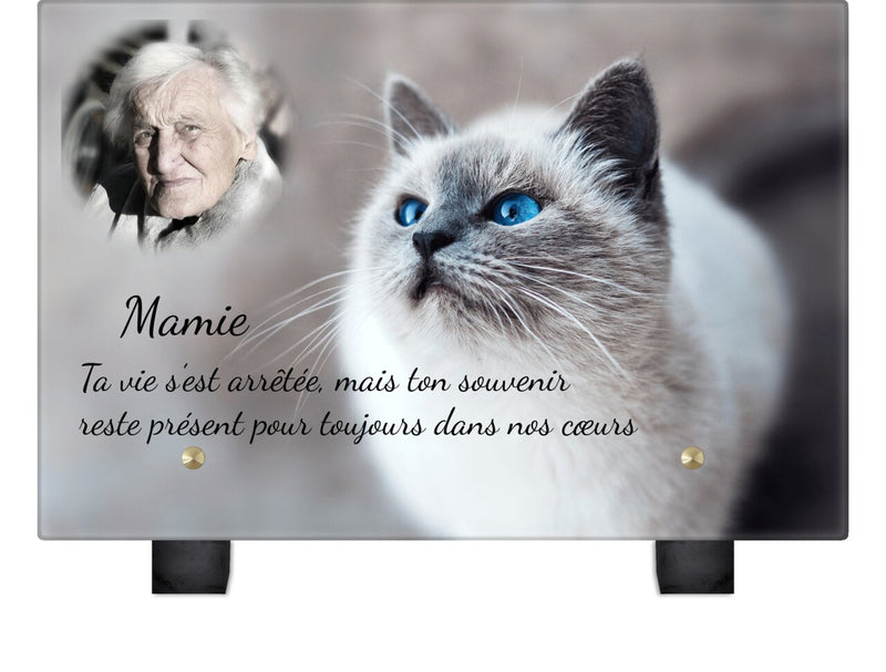 Plaque funéraire chat-majestueux 16 plapuedacaes.com
