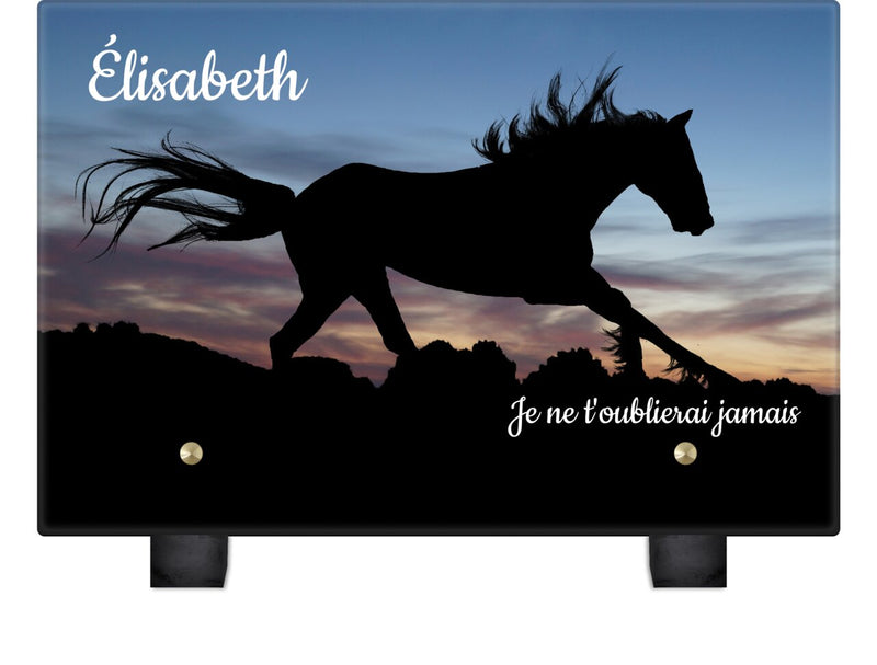 Plaque funéraire silhouette-de-cheval 3 plapuedacaes.com

