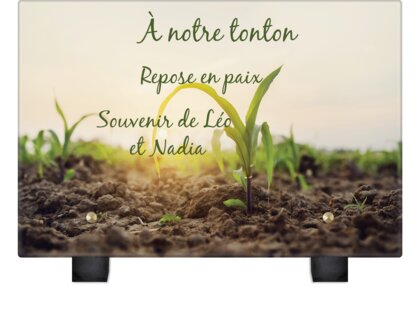 Plaque funéraire plante-qui-pousse 13 plapuedacaes.com
