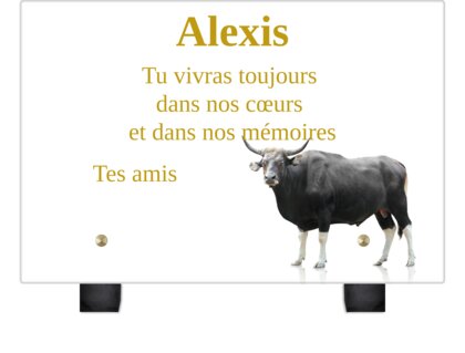 Plaque funéraire plaque-funeraire-taureau 20 plapuedacaes.com
