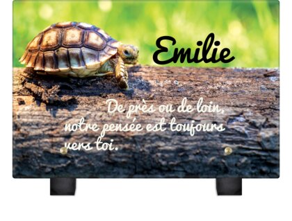 Plaque funéraire plaque-funeraire-tortue 10 plapuedacaes.com

