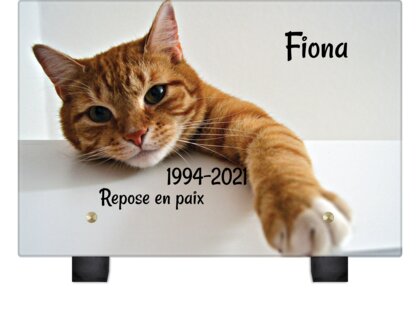 Plaque funéraire chat-orange 15 plapuedacaes.com
