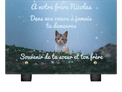 Plaque funéraire chat-en-pleine-nuit 21 plapuedacaes.com
