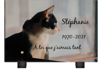 Plaque funéraire chat-noir-blanc 14 plapuedacaes.com
