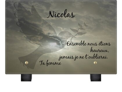 Plaque funéraire colombe-silhouette 30 plapuedacaes.com
