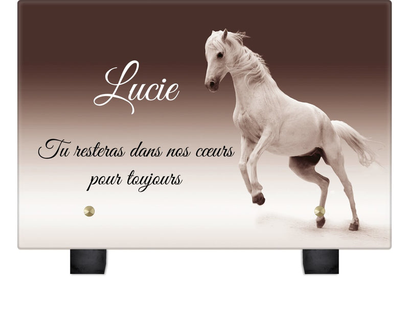 Plaque funéraire cheval-blanc 18 plapuedacaes.com
