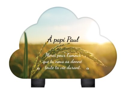 Plaque funéraire epis-de-ble-forme-nuage 2 plapuedacaes.com
