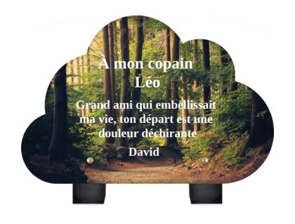 Plaque funéraire foret-forme-nuage 25 plapuedacaes.com
