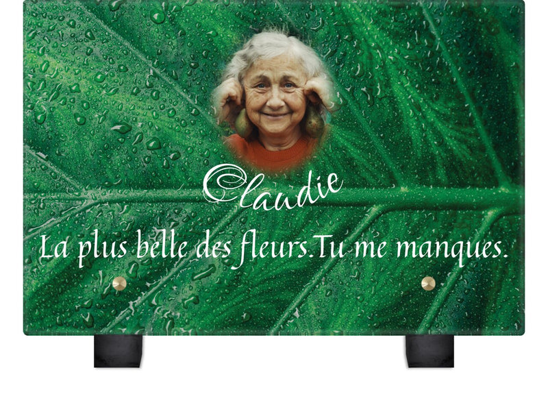 Plaque funéraire feuille-humide 17 plapuedacaes.com
