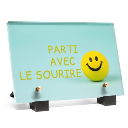 Plaque funéraire smiley-drole 28 plapuedacaes.com
