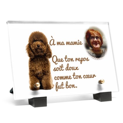 Plaque funéraire plaque-funeraire-caniche 3 plapuedacaes.com
