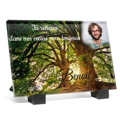 Plaque funéraire grand-arbres 18 plapuedacaes.com
