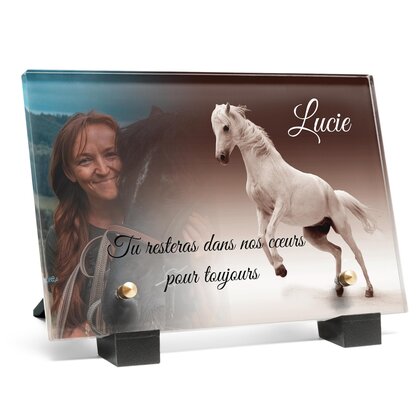 Plaque funéraire cheval-blanc 18 plapuedacaes.com
