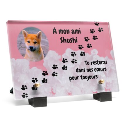 Plaque funéraire empreinte-chien-pastel 15 plapuedacaes.com

