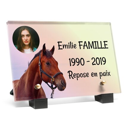 Plaque funéraire tete-de-cheval 24 plapuedacaes.com
