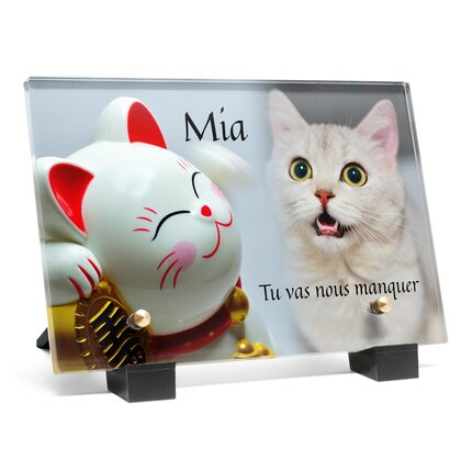 Plaque funéraire chat-de-la-chance 25 plapuedacaes.com
