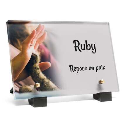 Plaque funéraire patte-de-chat 16 plapuedacaes.com
