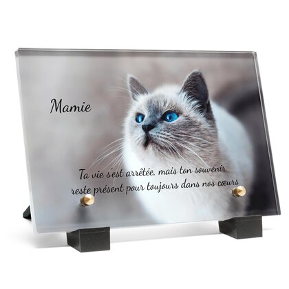Plaque funéraire chat-majestueux 16 plapuedacaes.com
