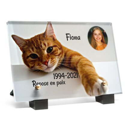 Plaque funéraire chat-orange 15 plapuedacaes.com
