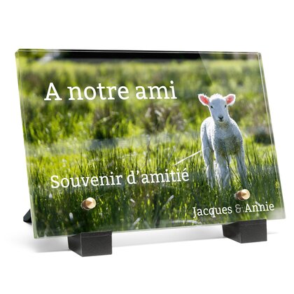 Plaque funéraire agneau 4 plapuedacaes.com
