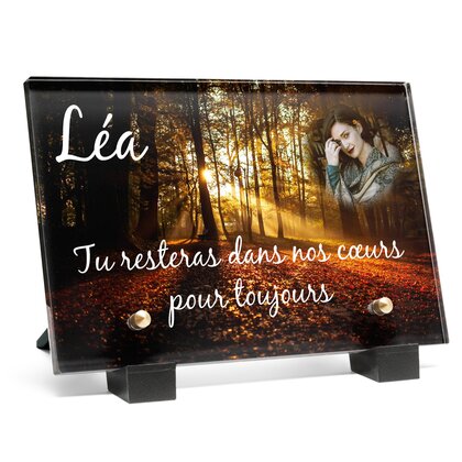 Plaque funéraire foret-orange 13 plapuedacaes.com
