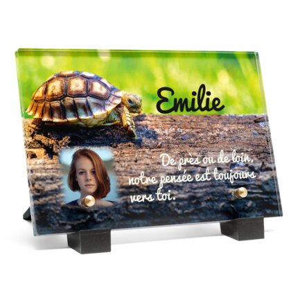 Plaque funéraire plaque-funeraire-tortue 10 plapuedacaes.com
