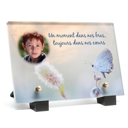 Plaque funéraire papillon-blanc 20 plapuedacaes.com
