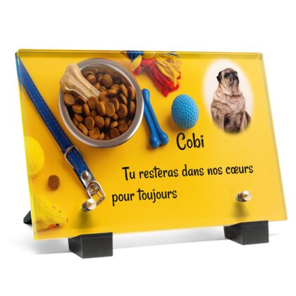 Plaque funéraire accessoires-pour-chiens 22 plapuedacaes.com
