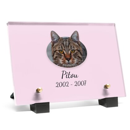 Plaque funéraire chat-cartoon 25 plapuedacaes.com
