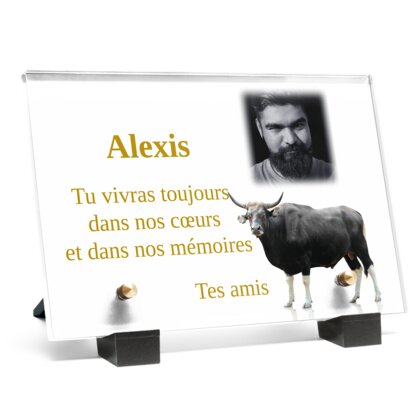 Plaque funéraire plaque-funeraire-taureau 20 plapuedacaes.com
