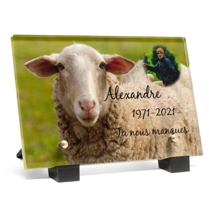 Plaque funéraire plaque-funeraire-brebis 1 plapuedacaes.com
