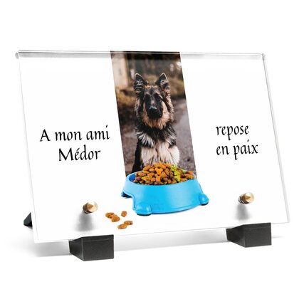 Plaque funéraire croquette 12 plapuedacaes.com
