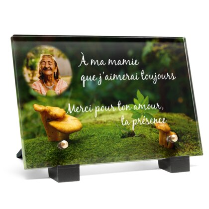 Plaque funéraire plaque-funeraire-champignon 3 plapuedacaes.com
