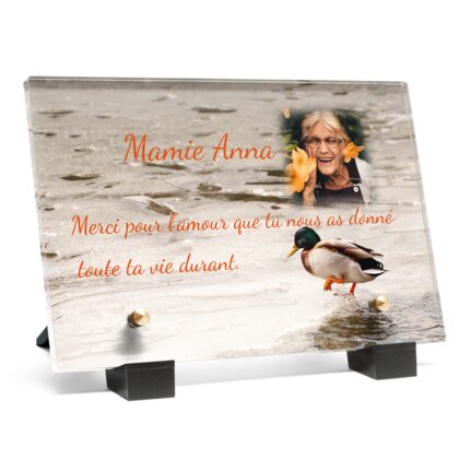 Plaque funéraire plaque-funeraire-canard 5 plapuedacaes.com
