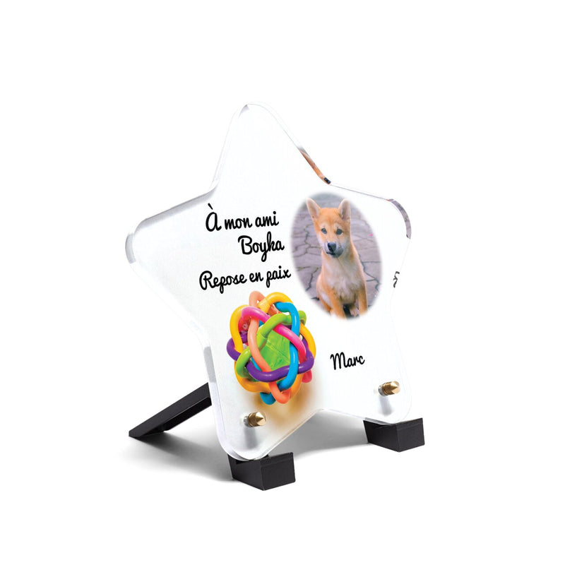 Plaque funéraire balle-pour-chiens-forme-etoile 30 plapuedacaes.com