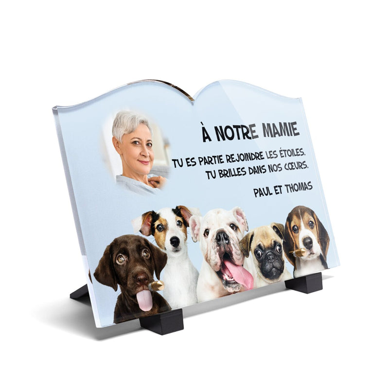 Plaque funéraire mignons-chiots-forme-livre 25 plapuedacaes.com